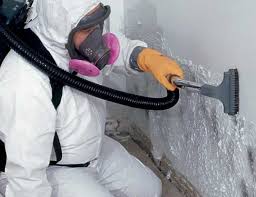 Best Mold Documentation for Insurance Claims in Springfield, TN